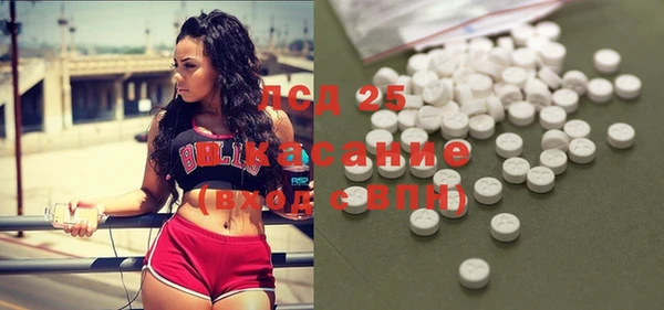 стаф Ладушкин