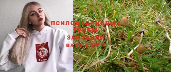 стаф Ладушкин