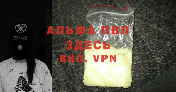 стаф Ладушкин