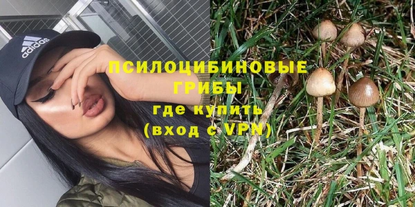 стаф Ладушкин