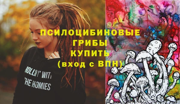 стаф Ладушкин